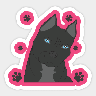 Gray pit bull Sticker